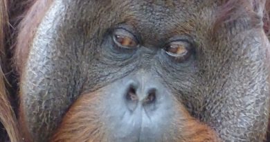 Der älteste Tierpark der Welt!