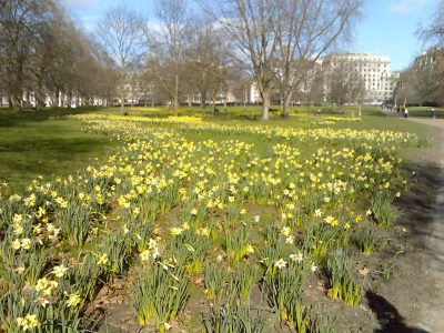greenpark
