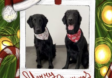 Merry Christmas!
