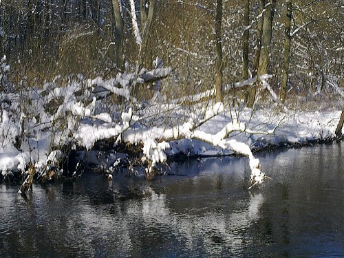 Alsterlauf3