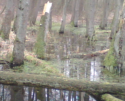 IMG00021