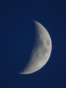 DSC01547