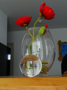 DSC04567