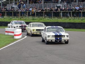 DSC05185