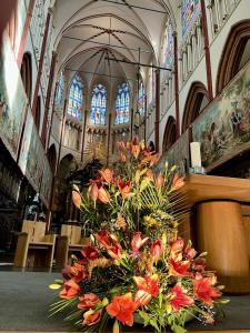 IMG_5495
