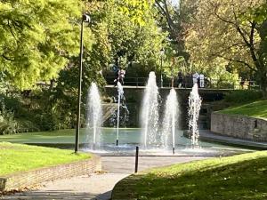 IMG_5498