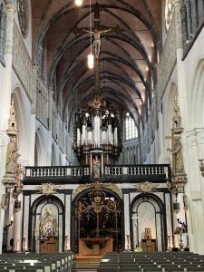 IMG_5519