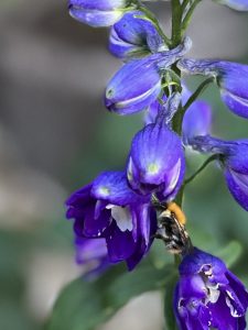 IMG_9800