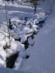 Alsterlauf2