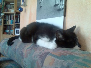 Bild001 (1)