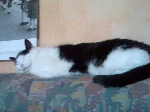 Bild003 (1)