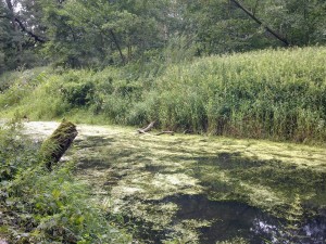 Bild0560