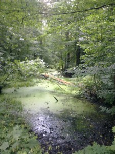 Bild0563