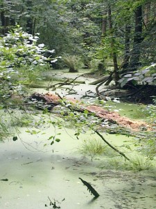 Bild0564