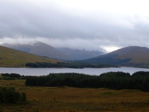 DSC02173