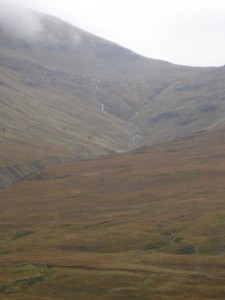 DSC02181