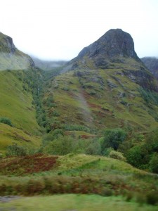 DSC02195