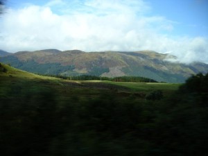 DSC02207