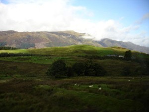 DSC02208