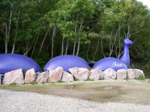 DSC02231