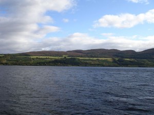DSC02233