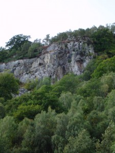 DSC02236