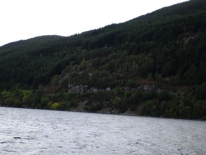 DSC02240