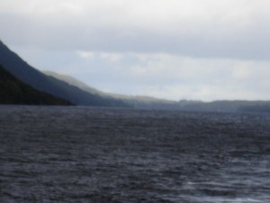 DSC02245