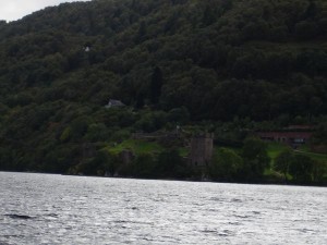 DSC02251