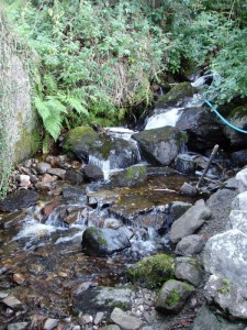 DSC02287