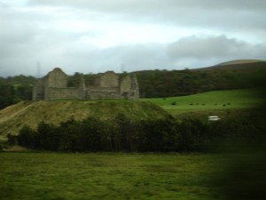 DSC02295