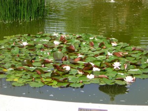 DSCN1005