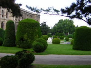 DSCN1068