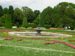 DSCN1100
