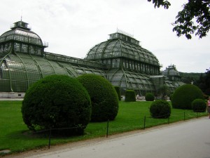 DSCN1101