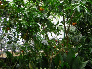 DSCN1104
