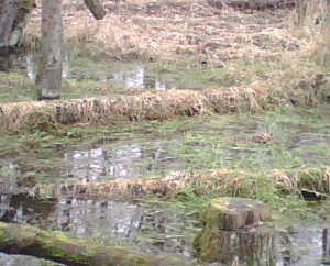 IMG00022