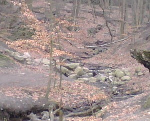 IMG00030