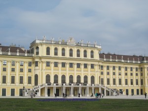 IMG 0004