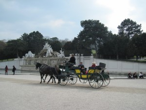 IMG 0006