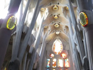 IMG 0281