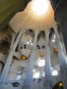 IMG 0318