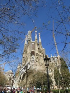 IMG 0391 (1)