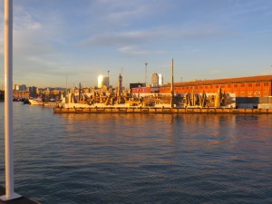IMG 0455
