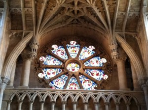 IMG 0780
