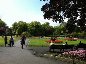 IMG 0873