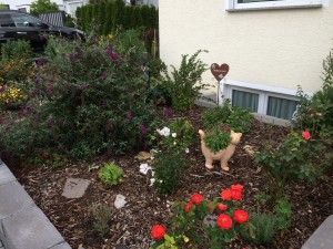 IMG 0967