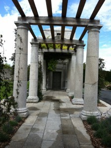 IMG 1015