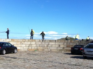 IMG 1061 (1)