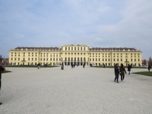 IMG 1384